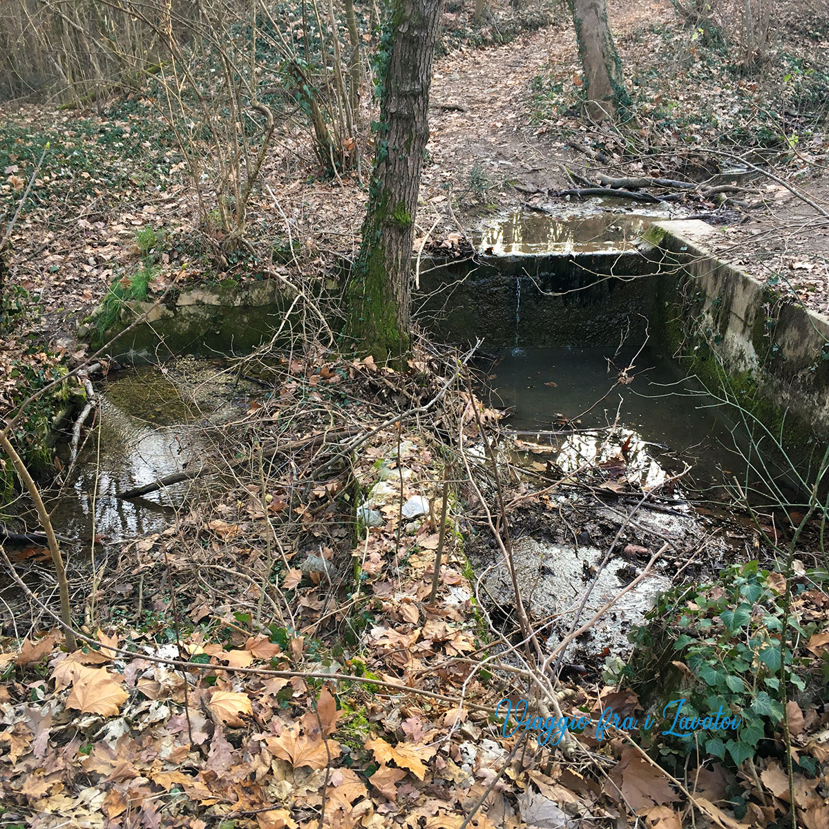 Lavatoio a Moruzzo sul Rio Coranzano